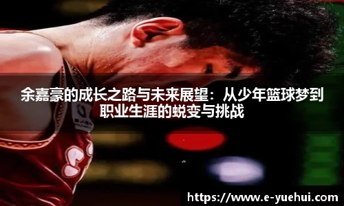 678体育app