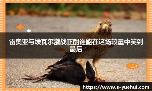 678体育官网